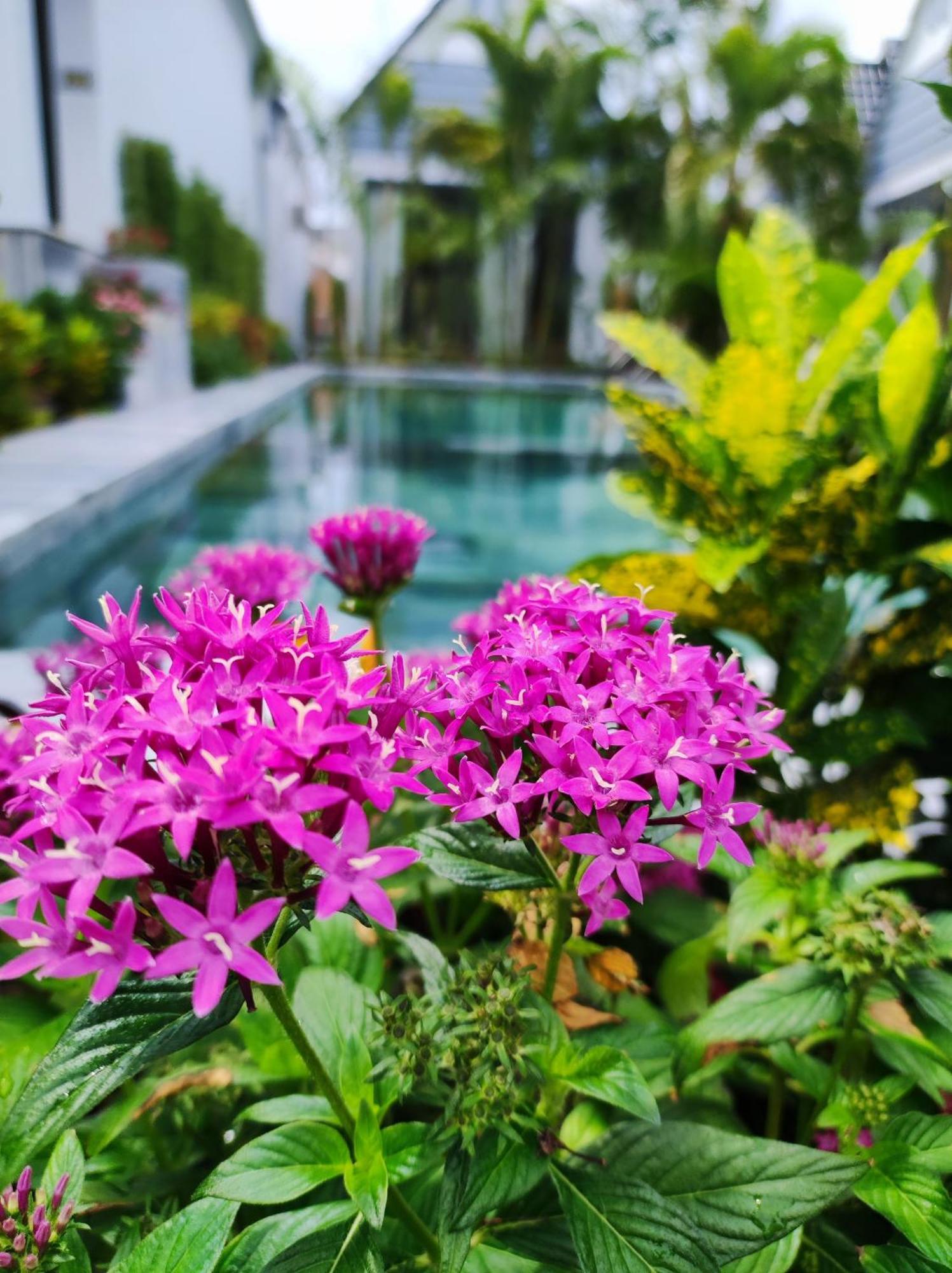 Ngoc Trai Xanh Bungalow Фу Куок Екстериор снимка