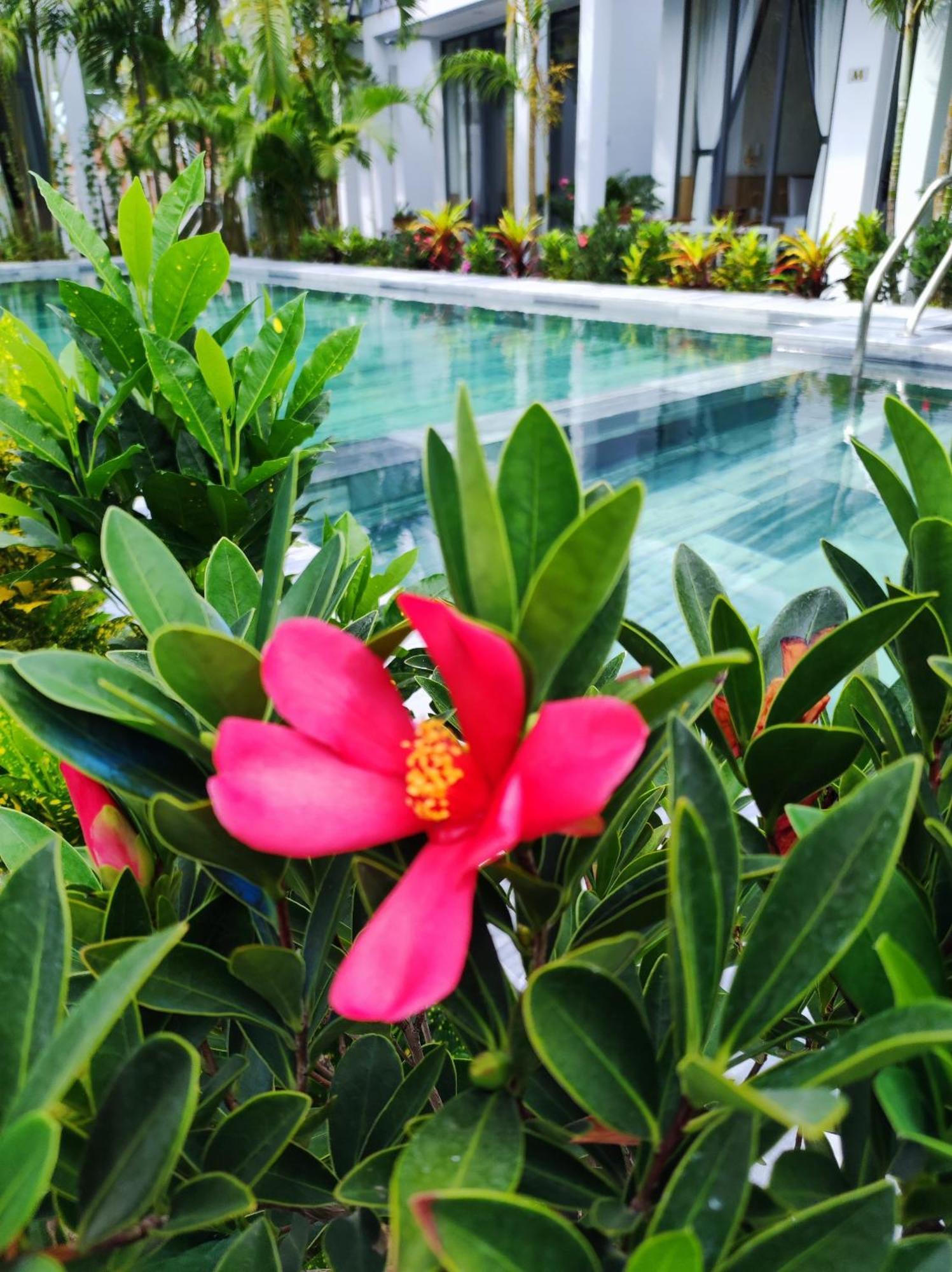 Ngoc Trai Xanh Bungalow Фу Куок Екстериор снимка