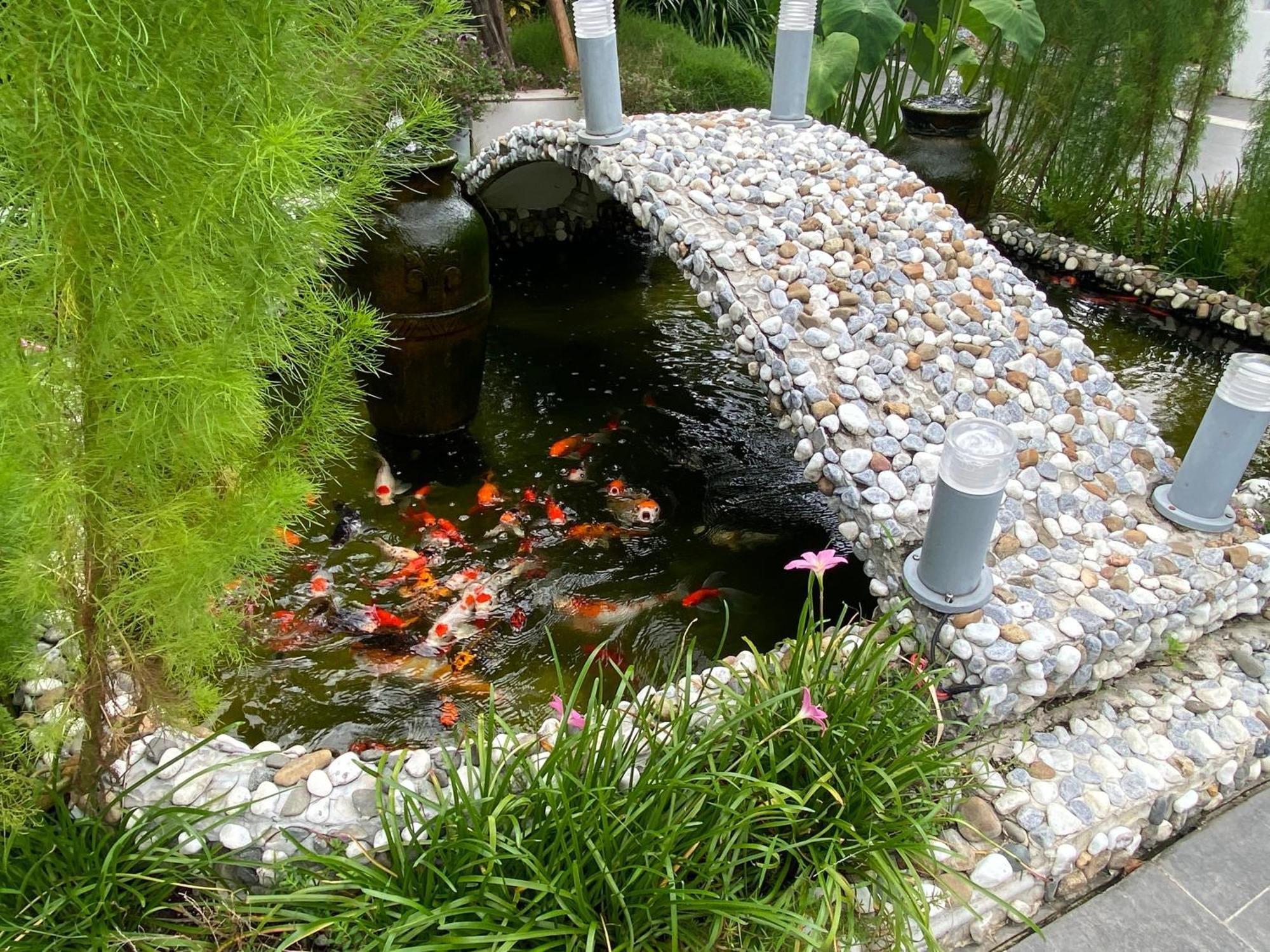 Ngoc Trai Xanh Bungalow Фу Куок Екстериор снимка